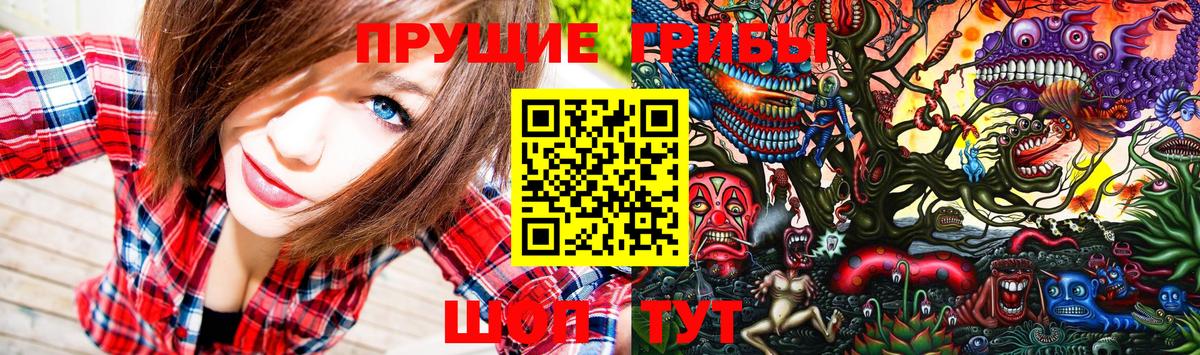 Галлюциногенные грибы Cubensis Гурьевск